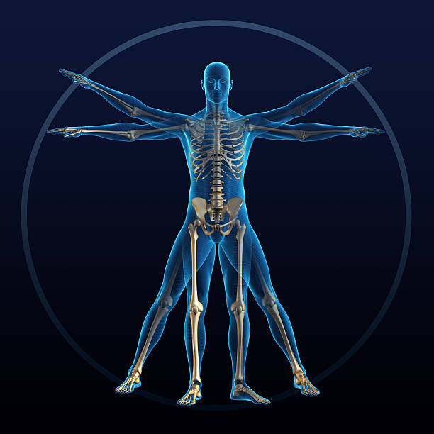 Kinesiology and Applied Physiology Graduate Program